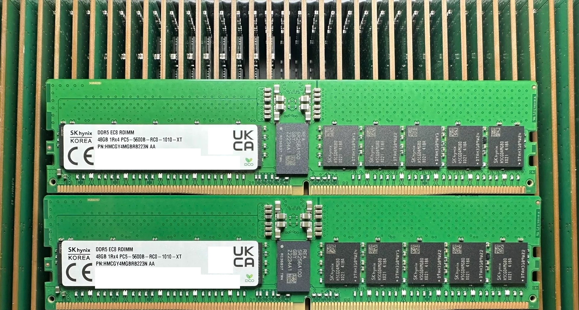 DDR5 RDIMM 48GB 4800 MT/s server memory real product photo